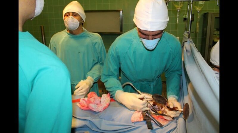 Cape Town: Heart of Cape Town Medical Museum Entrance Ticket - Who Should Consider This Tour?