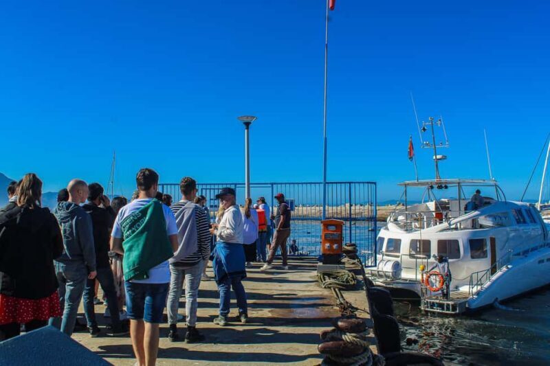 Cape Town: Hermanus Boat Cruise Whale Watching Tour - Key Points