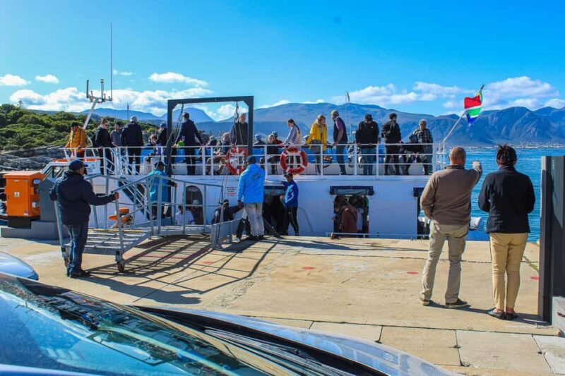 Cape Town: Hermanus Boat Cruise Whale Watching Tour - The Journey from Cape Town to Hermanus