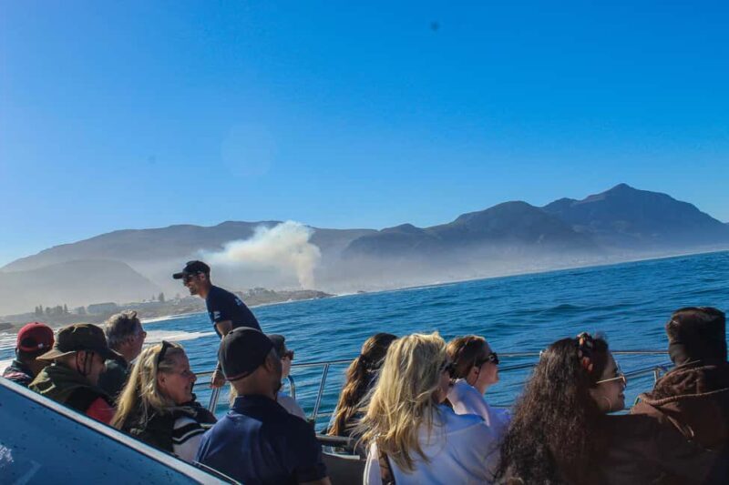 Cape Town: Hermanus Boat Cruise Whale Watching Tour - Additional Considerations