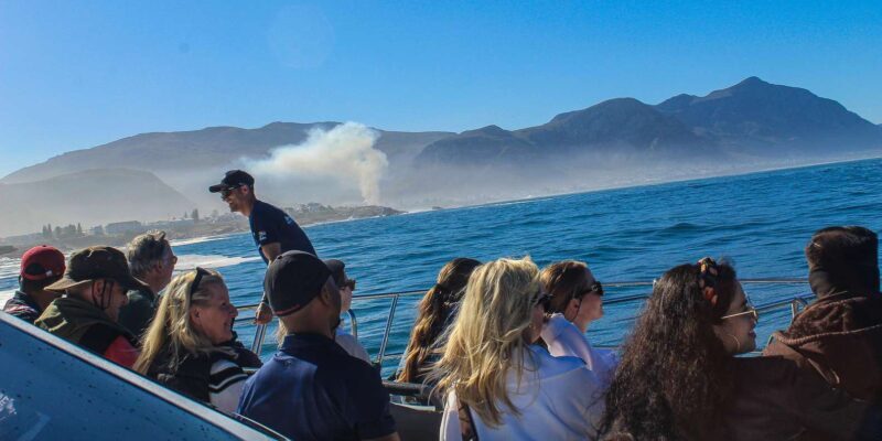 Cape Town: Hermanus Boat Cruise Whale Watching Tour - Frequently Asked Questions
