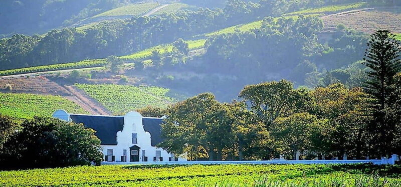 Cape Town: Hermanus Whale Watching & Winelands Tour - A Detailed Look at the Itinerary and Experience