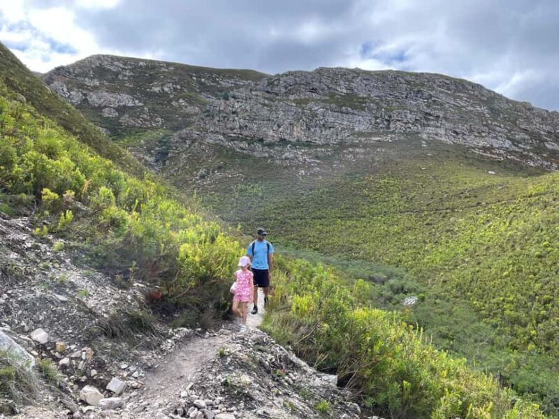 Cape Town: Hike up the Iconic Table Mountain - Is This Tour Worth It?