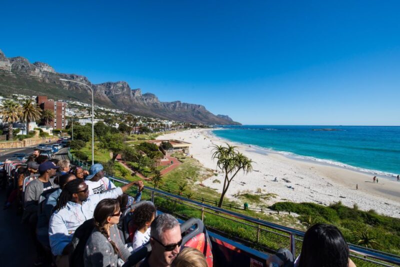 Cape Town: Hop-On Hop-Off Bus Tour with Optional Cruise - What the Reviews Reveal