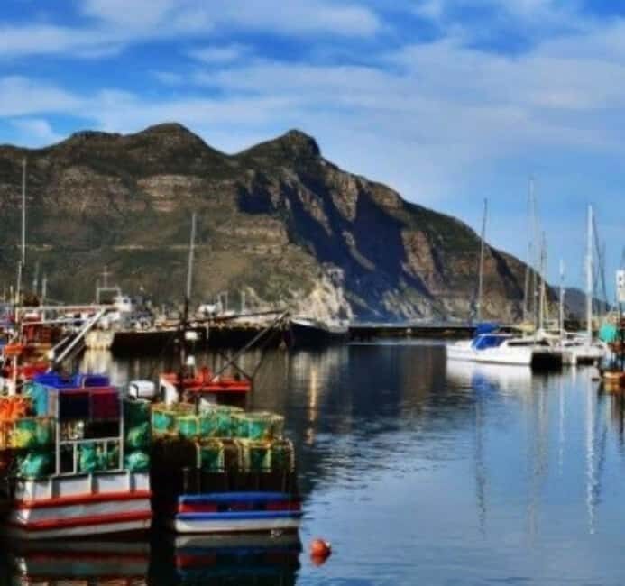 Cape Town: houtbay scenic tour ,seal island ,world of birds. - Exploring the Best of Hout Bay: A Scenic Tour of Seal Island and the World of Birds