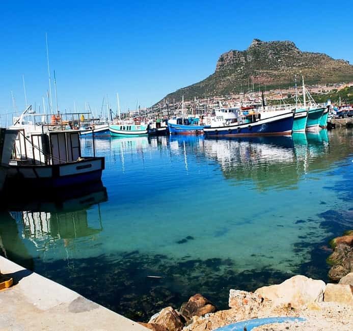 Cape Town: houtbay scenic tour ,seal island ,world of birds. - A Practical Overview of the Tour