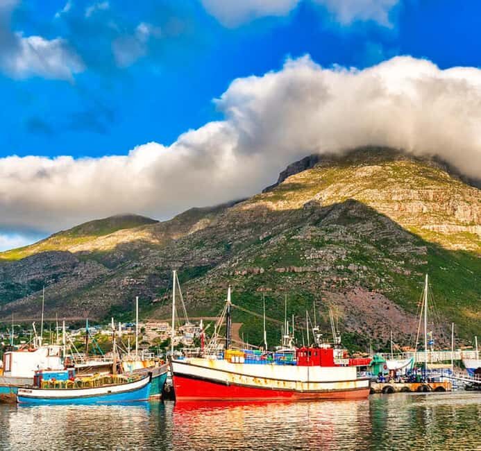 Cape Town: houtbay scenic tour ,seal island ,world of birds. - The World of Birds: A Sanctuary of Avian Diversity