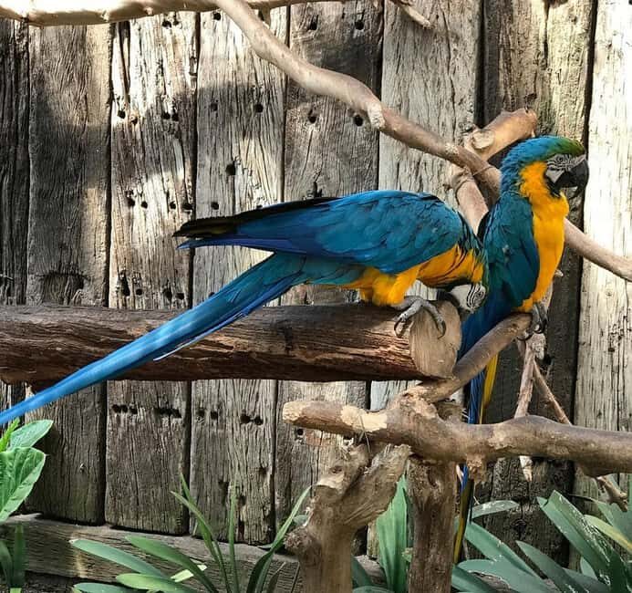 Cape Town: houtbay scenic tour ,seal island ,world of birds. - Final Reflection: Is This Tour Right for You?