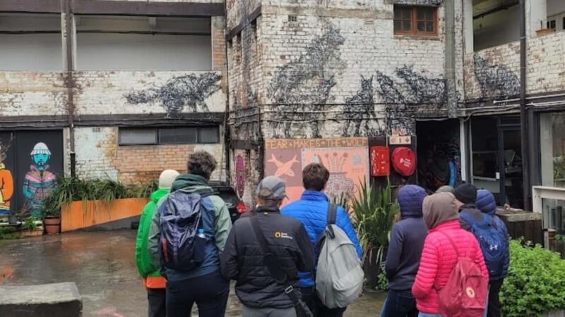 Cape Town: Inspiring sustainable change through Street Art - Exploring Cape Town’s Street Art Scene