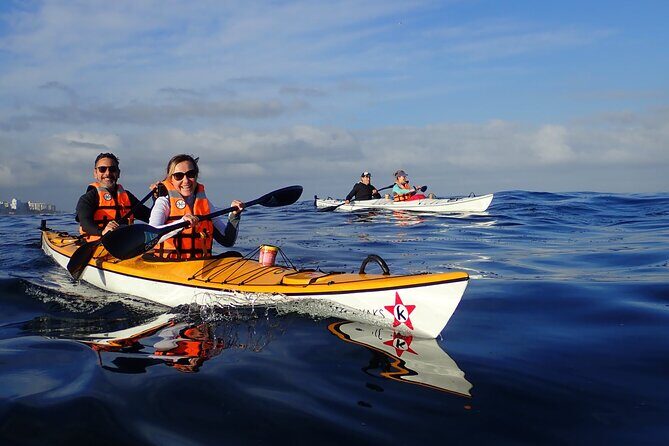 Cape Town Kayak Adventure in Table Mountain Marine Reserve - An Overview of the Experience