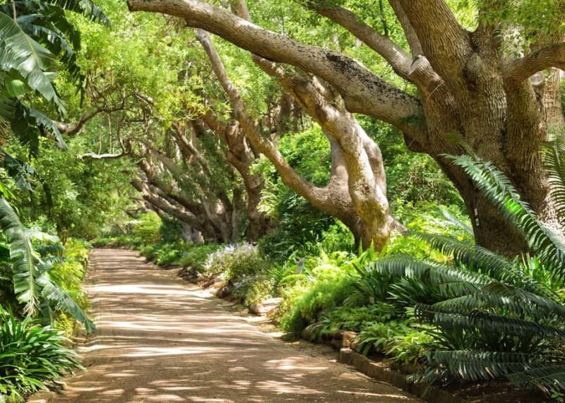 Cape Town: Kirstenbosch Botanical Garden Entry Ticket - Key Points