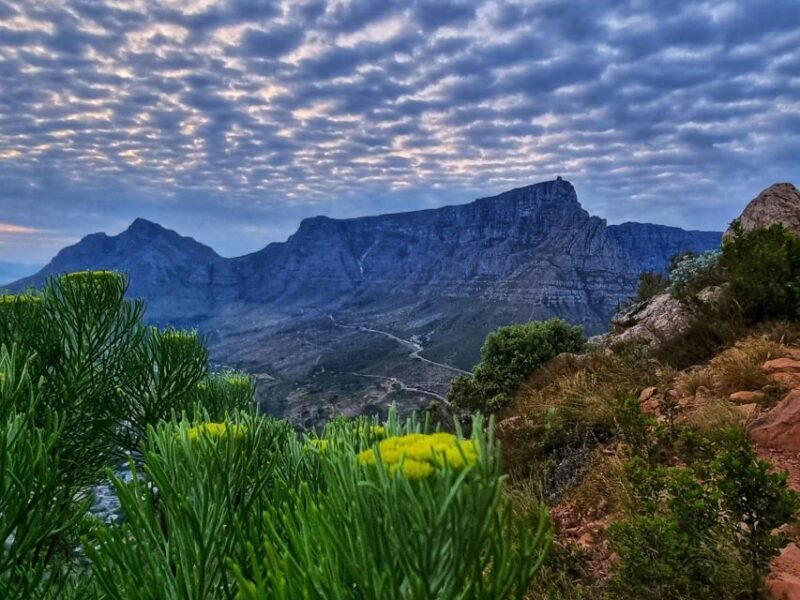 Cape Town: Lions Head Hike & Picnic - The Scenic Highlights: Views and Photo Opportunities