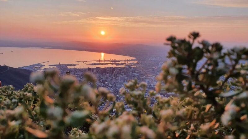Cape Town: Lion's Head Sunrise or Sunset Hike - Value and Practicalities