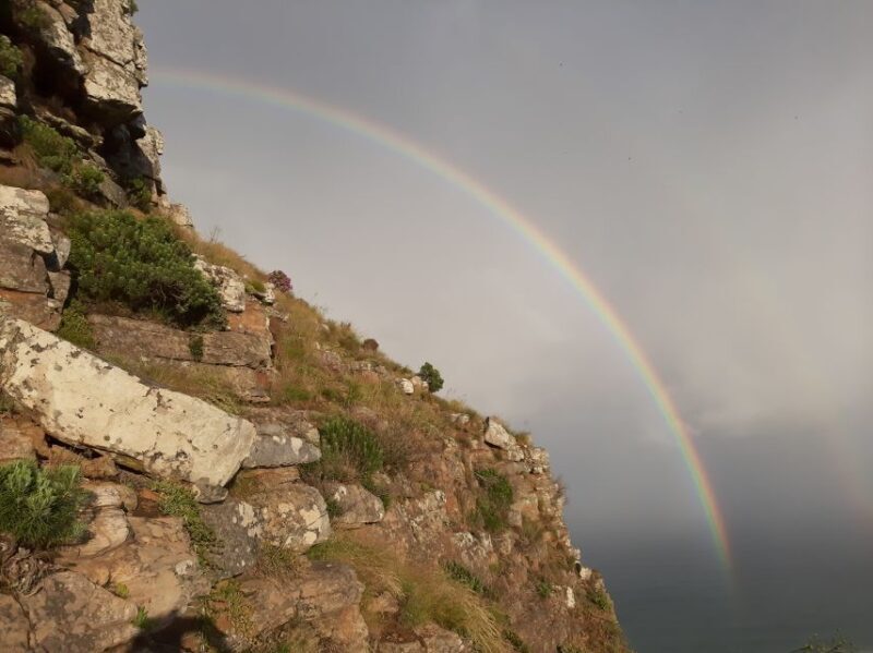 Cape Town: Lion's Head Sunrise with coffee or Sunset Hike - Frequently Asked Questions  