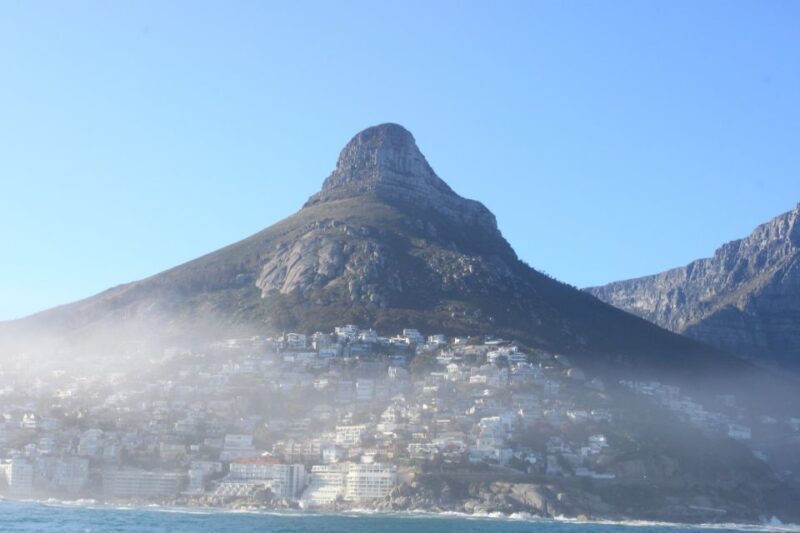 Cape Town: Marine Big 5 Ocean Safari from V&A Waterfront - What Sets This Tour Apart?