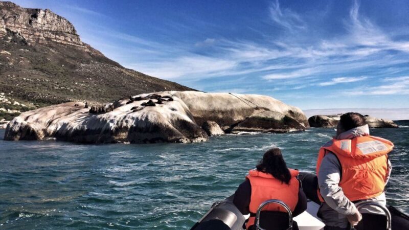 Cape Town: Marine Big 5 Ocean Safari from V&A Waterfront - Who Will Appreciate This Experience?