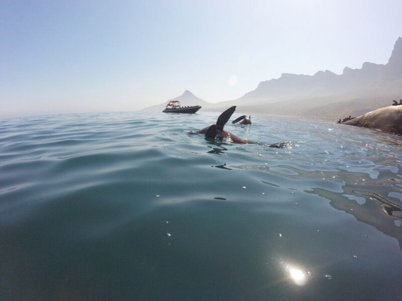 Cape Town: Marine Big 5 Ocean Safari from V&A Waterfront - Final Thoughts