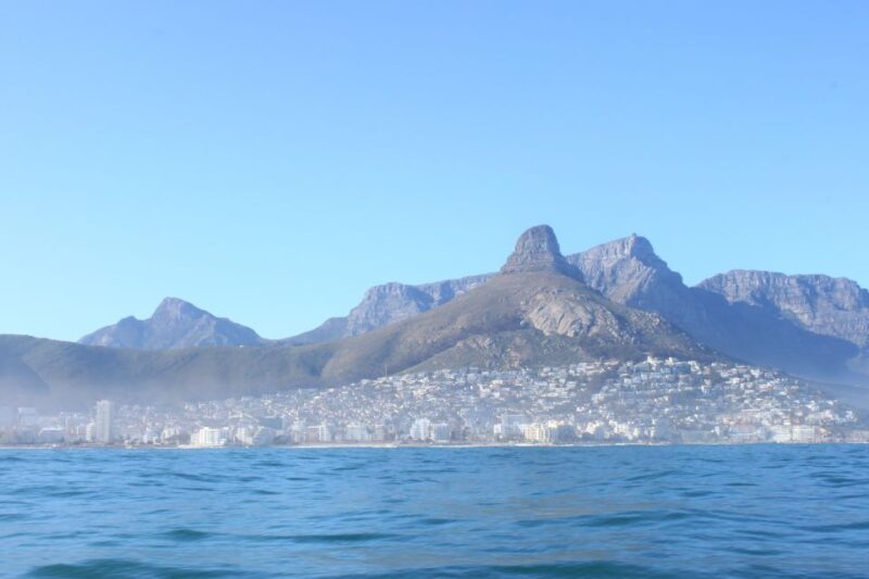 Cape Town: Marine Big 5 Ocean Safari from V&A Waterfront - FAQ