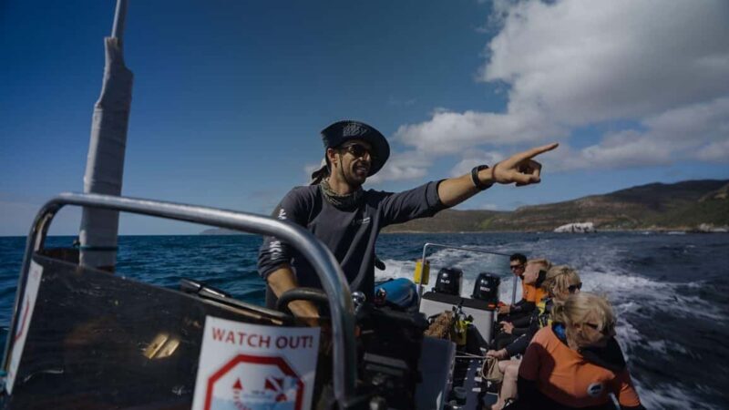 Cape Town: Marine Big 5 Ocean Safari & Research Expedition - Who Would Love This Tour?  