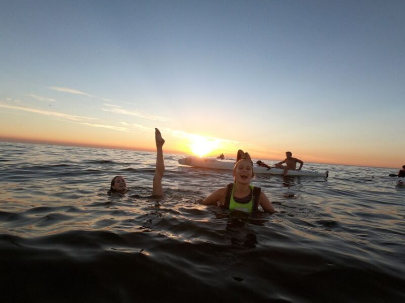 Cape Town: Marine Life Kayak Tour From the V&A Waterfront - Key Points