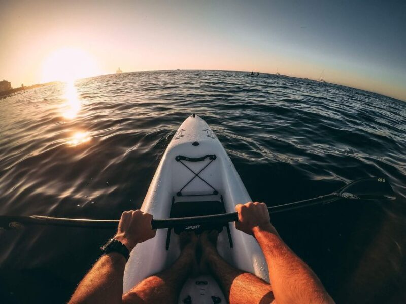 Cape Town: Marine Life Kayak Tour From the V&A Waterfront - Why This Tour Offers Great Value