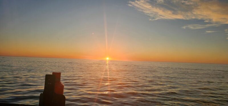 Cape Town: Ocean Safari 1 Hour - Key Points