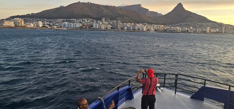Cape Town: Ocean Safari 1 Hour - What to Expect on the Ocean Safari