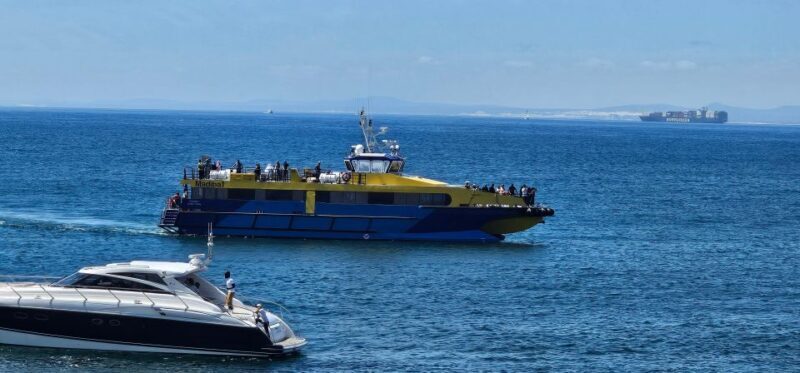 Cape Town: Ocean Safari 1 Hour - The Practicalities