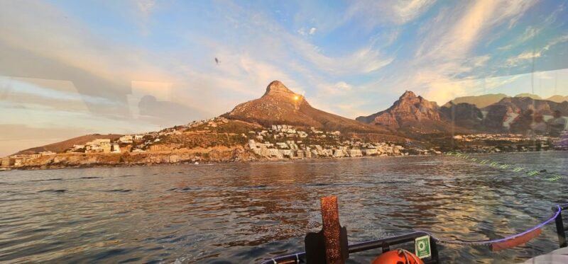 Cape Town: Ocean Safari 1 Hour - The Sum Up: Who Is This Tour Perfect For?
