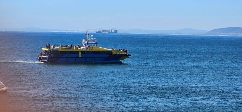 Cape Town: Ocean Safari 1 Hour - Frequently Asked Questions