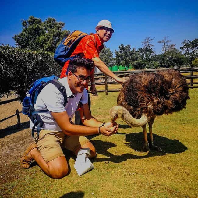CAPE TOWN: OSTRICH RANCH QUAD BIKE RIDE & OSTRICH TOUR - Cape Town: Ostrich Ranch Quad Bike Ride & Ostrich Tour Review