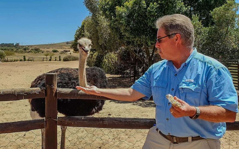 CAPE TOWN: OSTRICH RANCH QUAD BIKE RIDE & OSTRICH TOUR - Practical Details