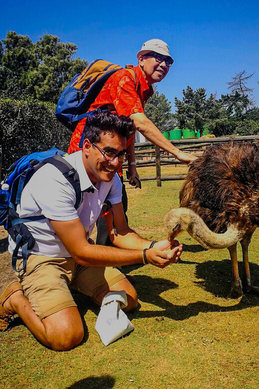 CAPE TOWN: OSTRICH RANCH QUAD BIKE RIDE & OSTRICH TOUR - FAQ