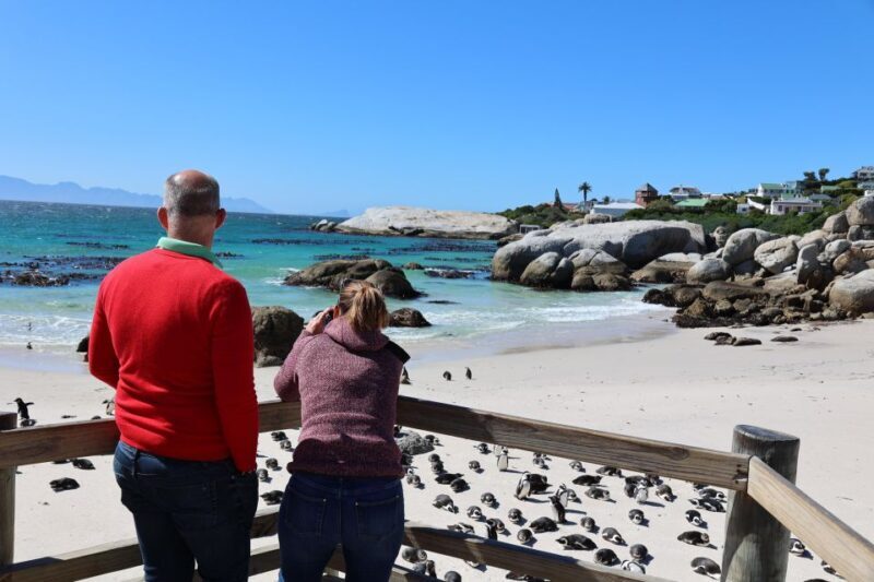Cape Town: Penguin Watching at Boulders Beach Half Day Tour - A Complete Guide to the Cape Town: Penguin Watching at Boulders Beach Half Day Tour