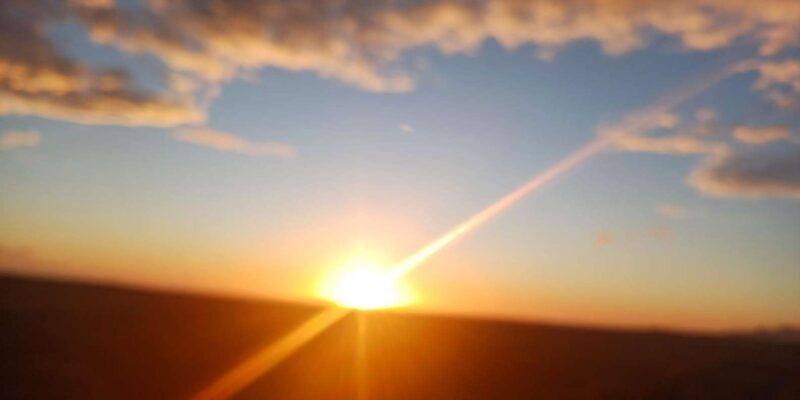 Cape Town: Penguins and Cape of Good Hope Sunset Tour - A Journey Through Cape Towns Coastal Wonders