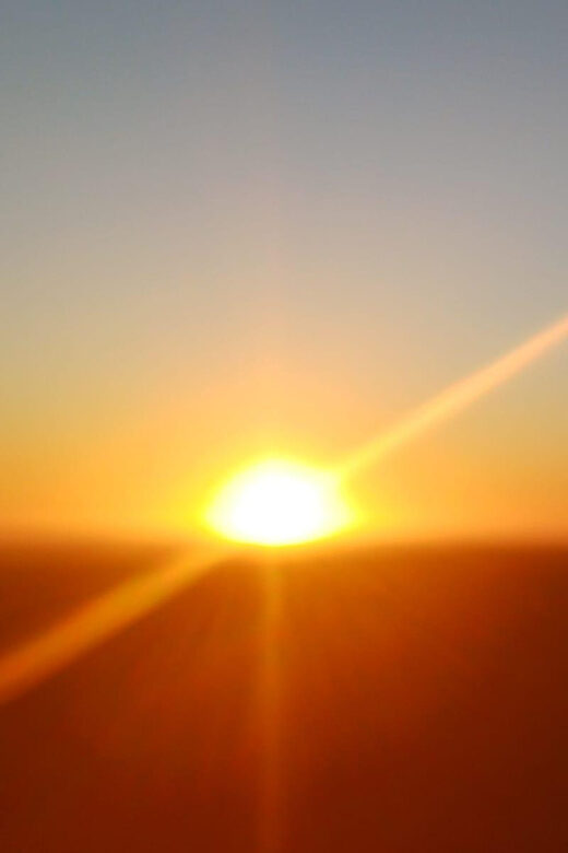 Cape Town: Penguins and Cape of Good Hope Sunset Tour - Insights from Guests