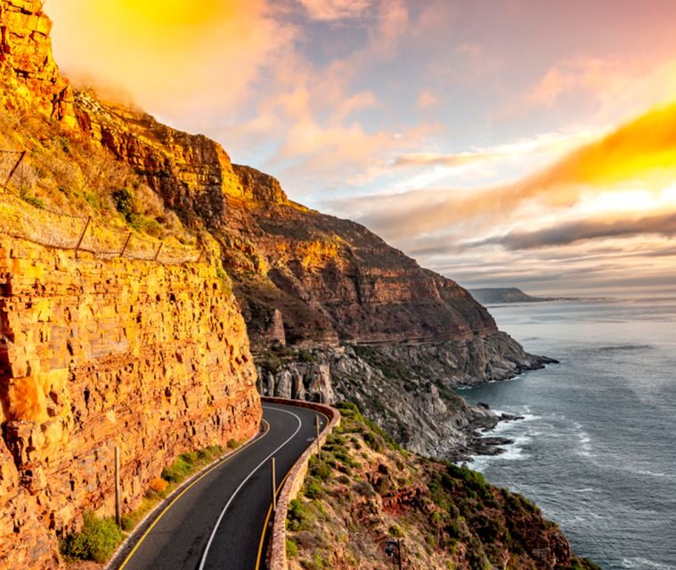 Cape Town: Penguins & Cape of Good Hope Day Tour with Pickup - Key Points