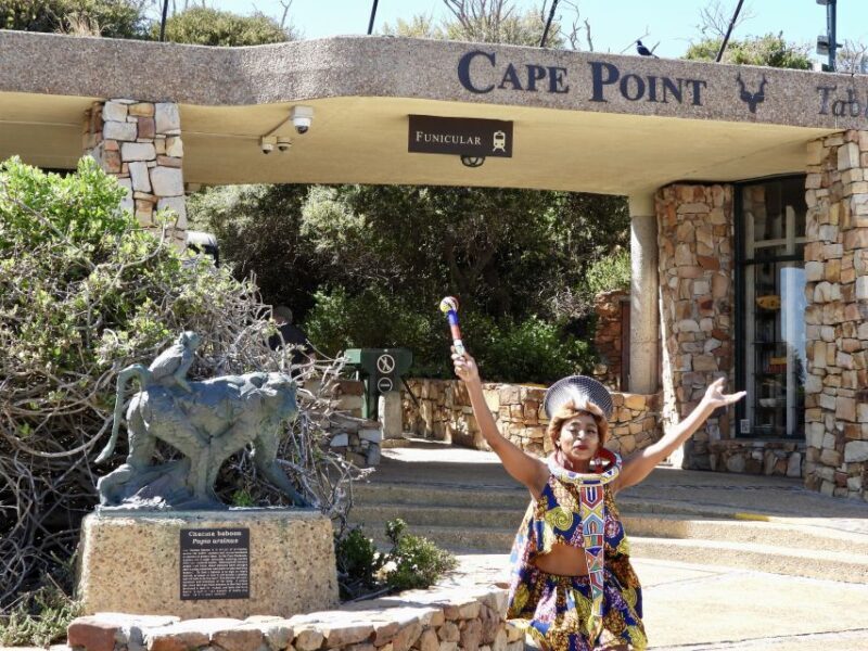 Cape Town: Penguins & Cape of Good Hope Half Day Shared Tour - FAQ