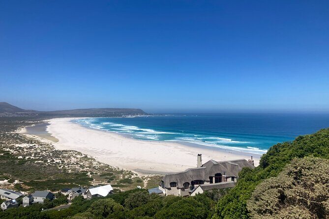 Cape Town: Peninsula, Cape of Good Hope and Penguins Tour - Who Should Book This Tour?