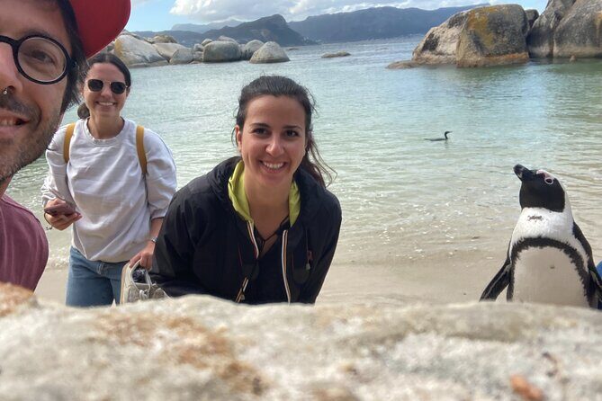 Cape Town: Peninsula, Cape of Good Hope and Penguins Tour - FAQ