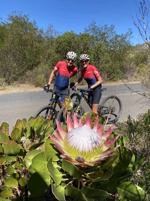 Cape Town: Peninsula Private Mountain Bike Tour with Ex-Pro - Frequently Asked Questions