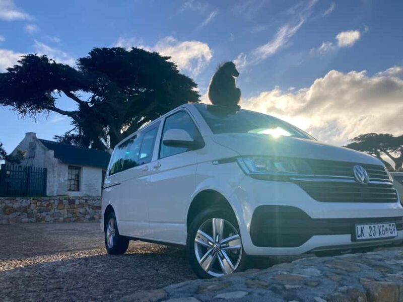 Cape Town: Peninsula Tour, Cape of Good Hope, and Penguins - Key Points