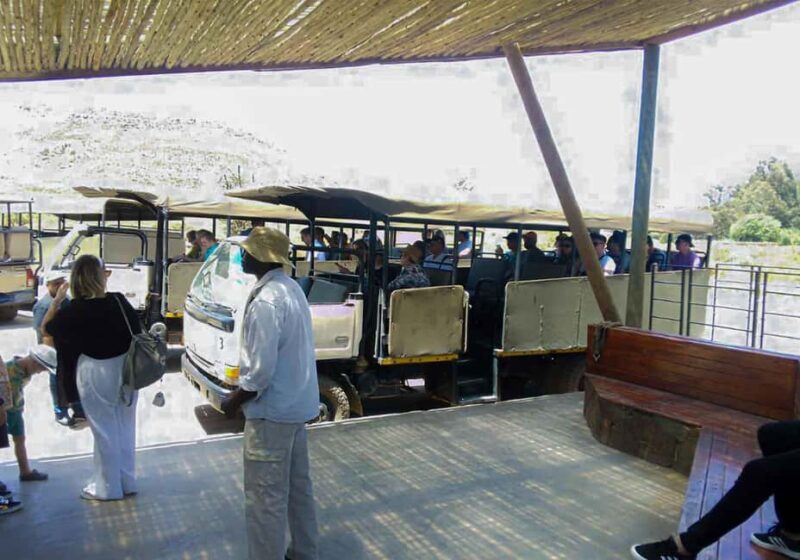 Cape Town: Private Aquila Reserve Safari with Winery Lunch - Journey to Aquila Reserve