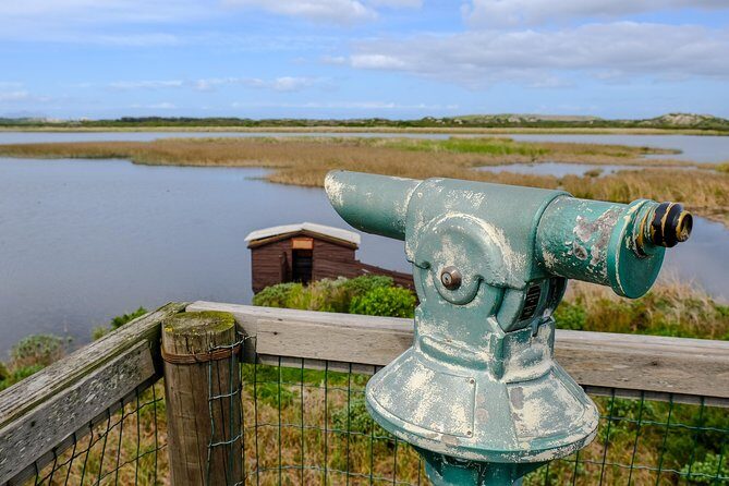 Cape Town Private Birding Tour - FAQ