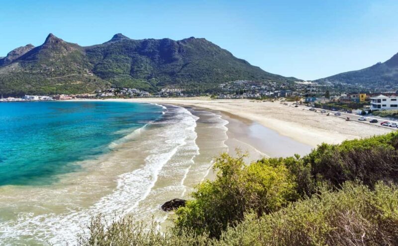 Cape Town: Private Cape Peninsula Full-Day Tour with Local - Who Is This Tour Best For?