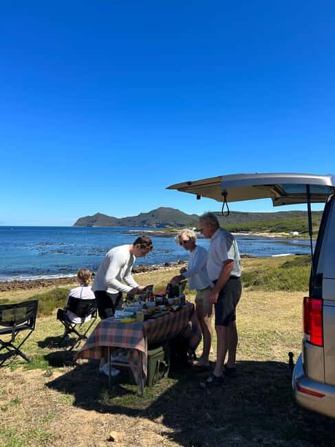 Cape Town: Private Cape Peninsula Tour with Picnic Lunch - Analyzing the Value: Is This Tour Worth it?
