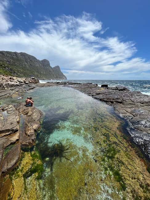 Cape Town: Private Cape Peninsula Tour with Picnic Lunch - Final Thoughts: Why Choose This Tour?