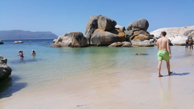 Cape Town: Private Cape Point and Boulders Penguins Tour - Key Points