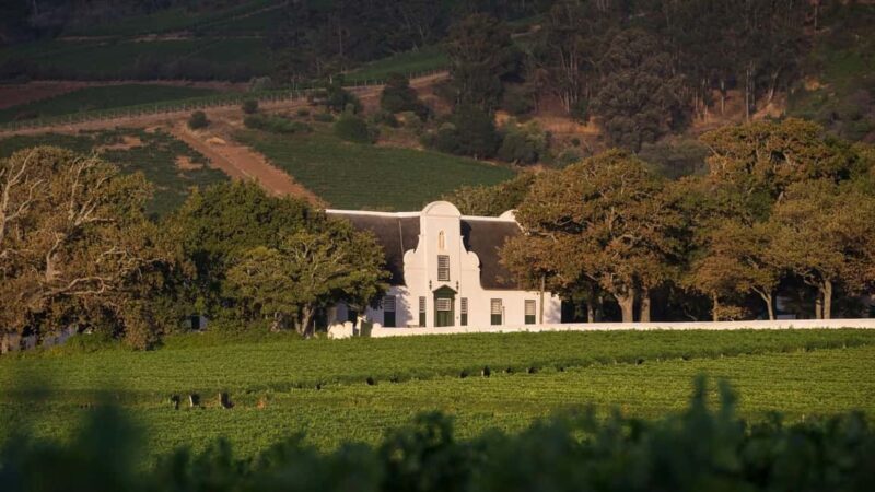 Cape Town: Private Cape Winelands Tour with 15 Wine Tastings - The Sum Up