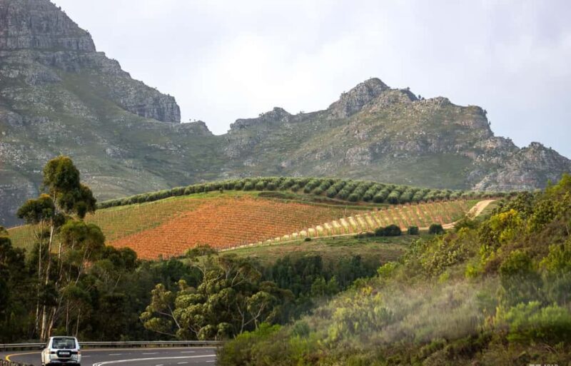 Cape Town: Private Cape Winelands Tour with 15 Wine Tastings - Frequently Asked Questions